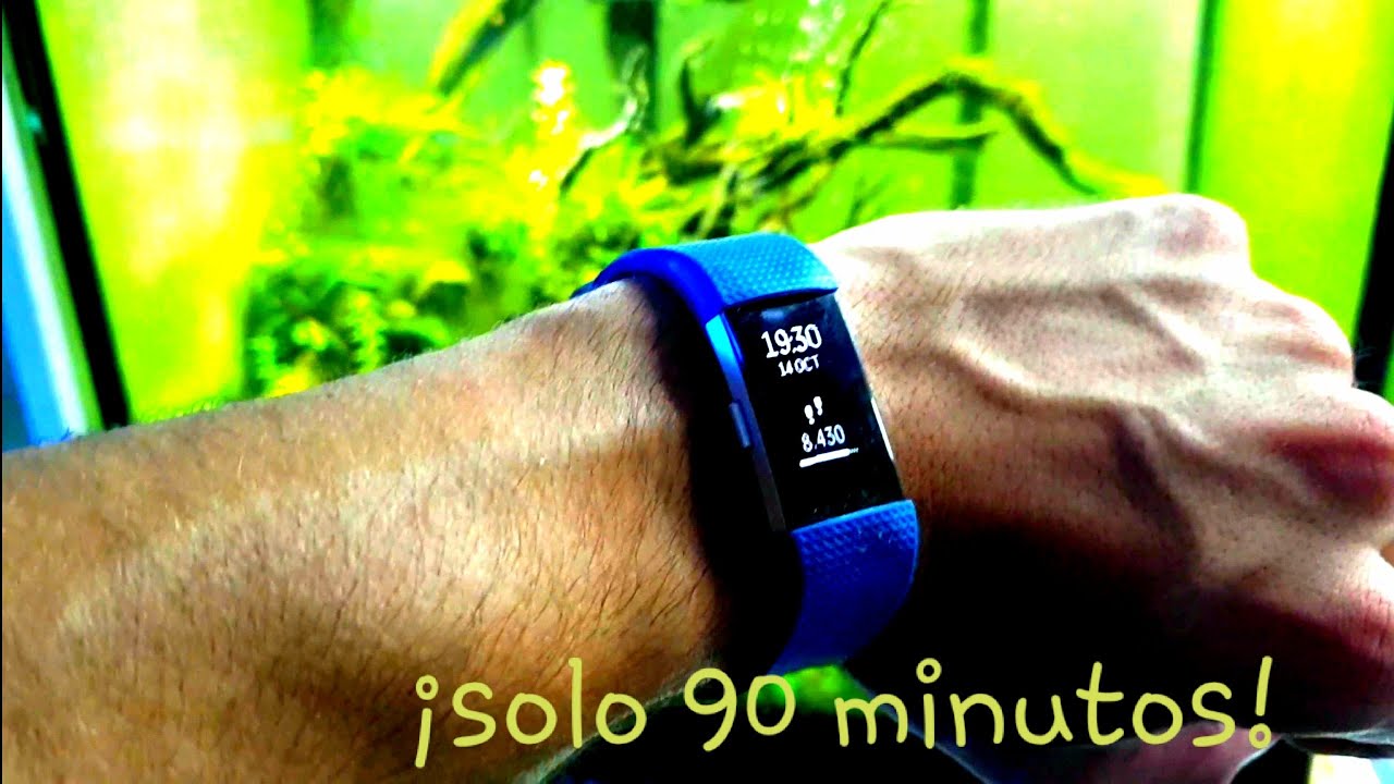 Reinicio acuario por completo en 90 minutos