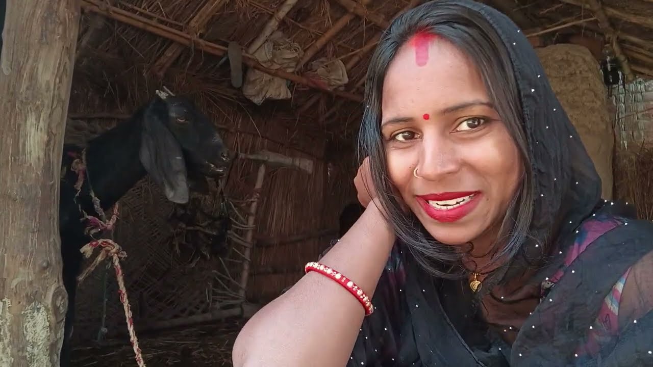 😘अपनी बकरी और 💐 गाय के घर में बैठे हैं 😘, apni Bakri aur gay ke Ghar mein baithe Hain# blog# video# 
