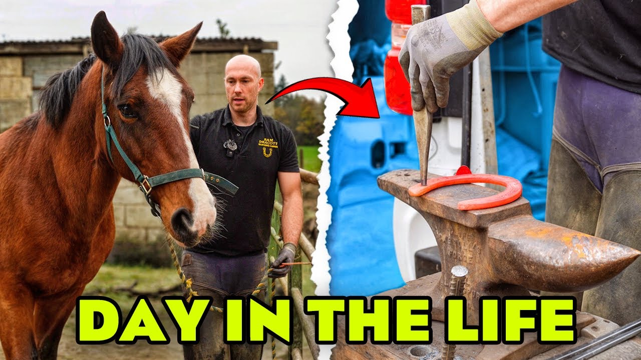 A DAY IN MY LIFE: SHOEING HORSES AT A BUSY RIDING STABLES