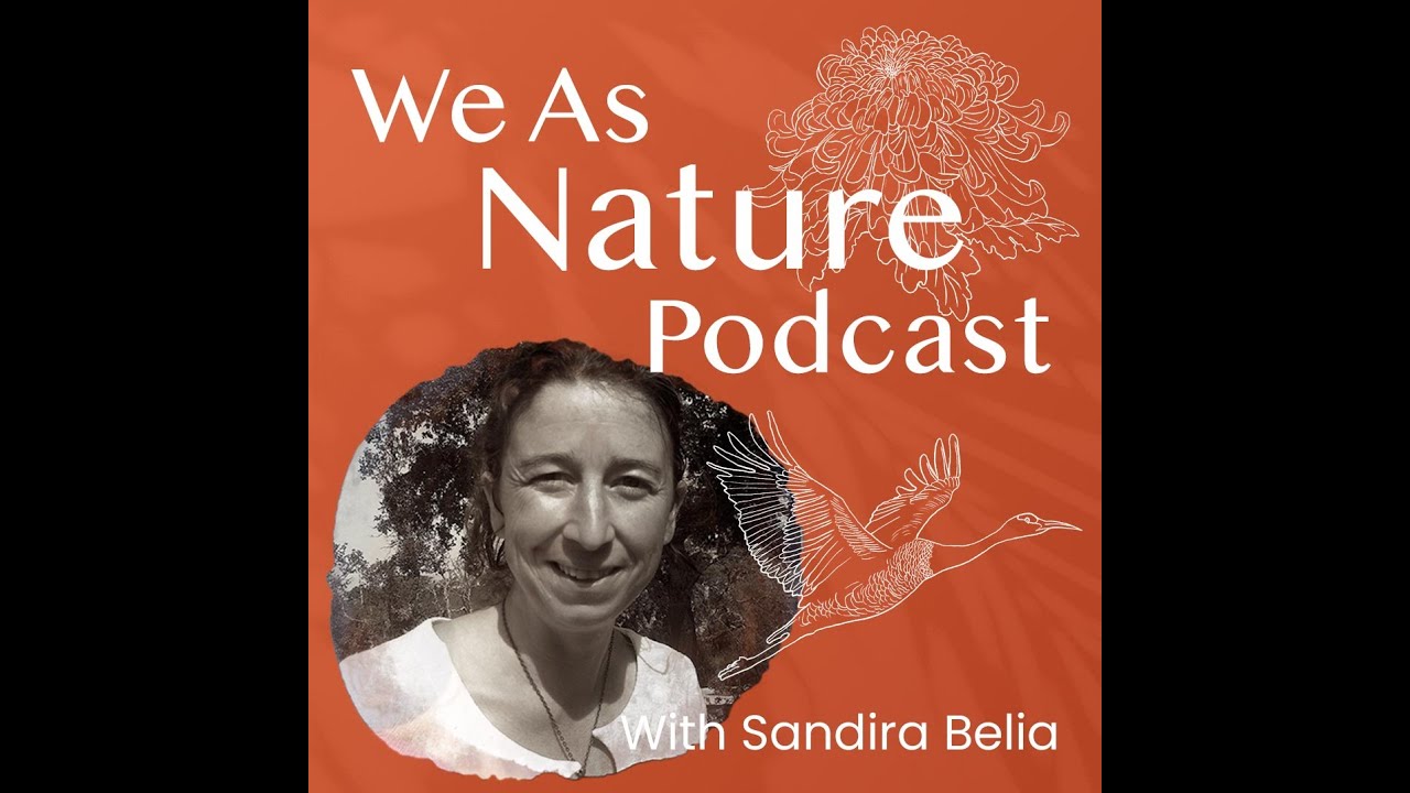 Journeying into the Queendom of the bees with Sandira Belia