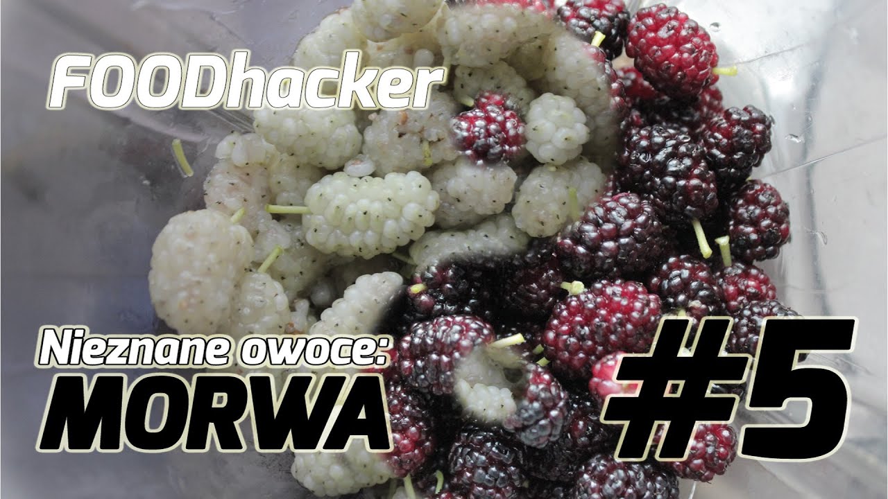 Nieznane owoce: MORWA - FOODhacker #5