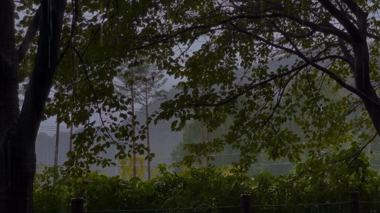 Overcome Stress to Sleep Instantly with Paramount Heavy Rain Sounds at Night, Goodbye Insomnia