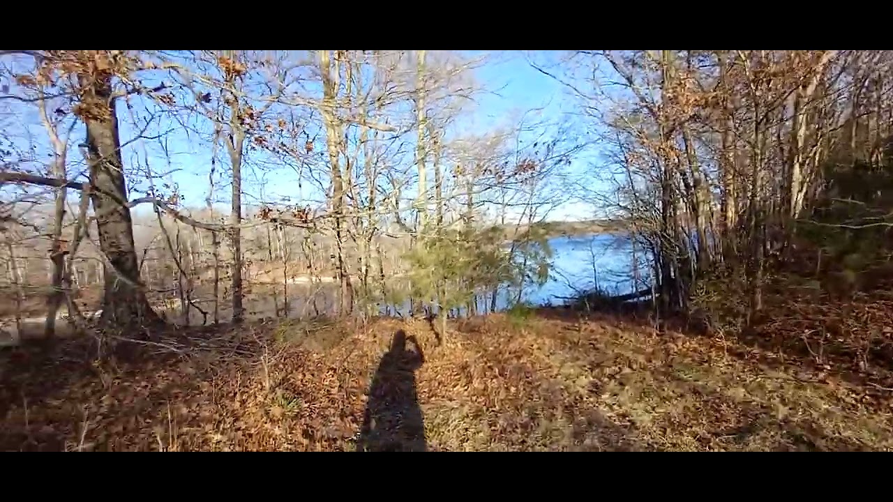 Cedar Lake Dame, Southern Illinois