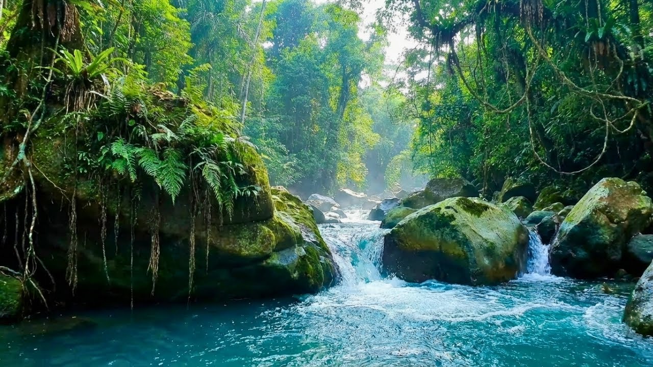 Water and Nature Sounds for Sleep Gentle Water & Wilderness Ambience