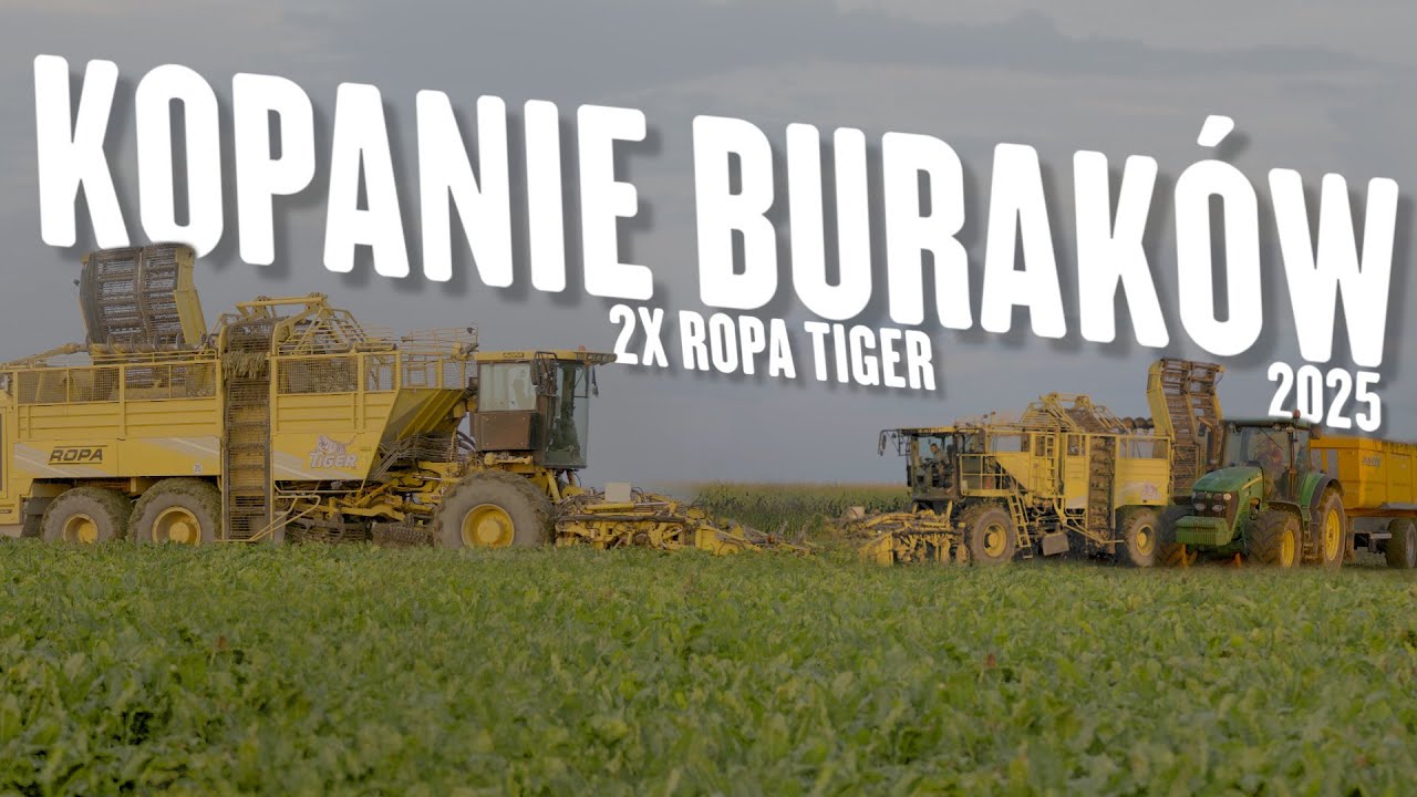 PIERWSI W POLSCE?! MOKRE KOPANIE BURAKÓW 2025 Z AGROPOWER! 2X ROPA&JOHNDEERE