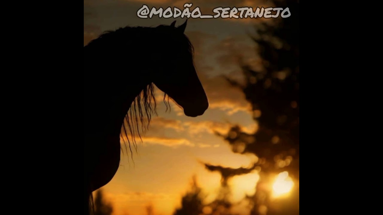 Chico Rey e Paran&aacute; - Saco de estopa (LETRA)