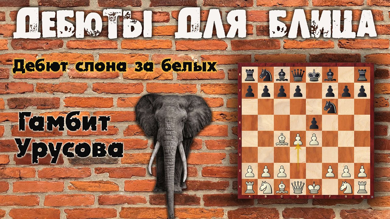 Дебют слона за белых. Гамбит Урусова
