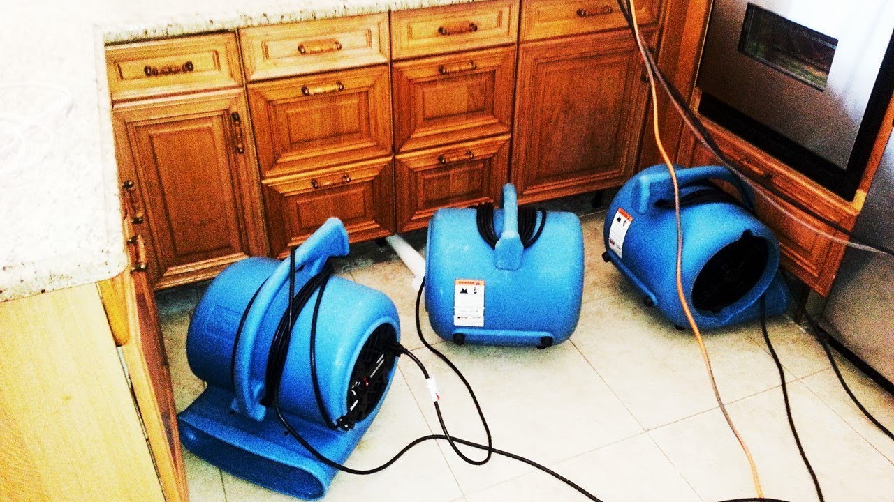 Water Restoration Near Me Dallas TX - Appointment Today (469) 620 8443