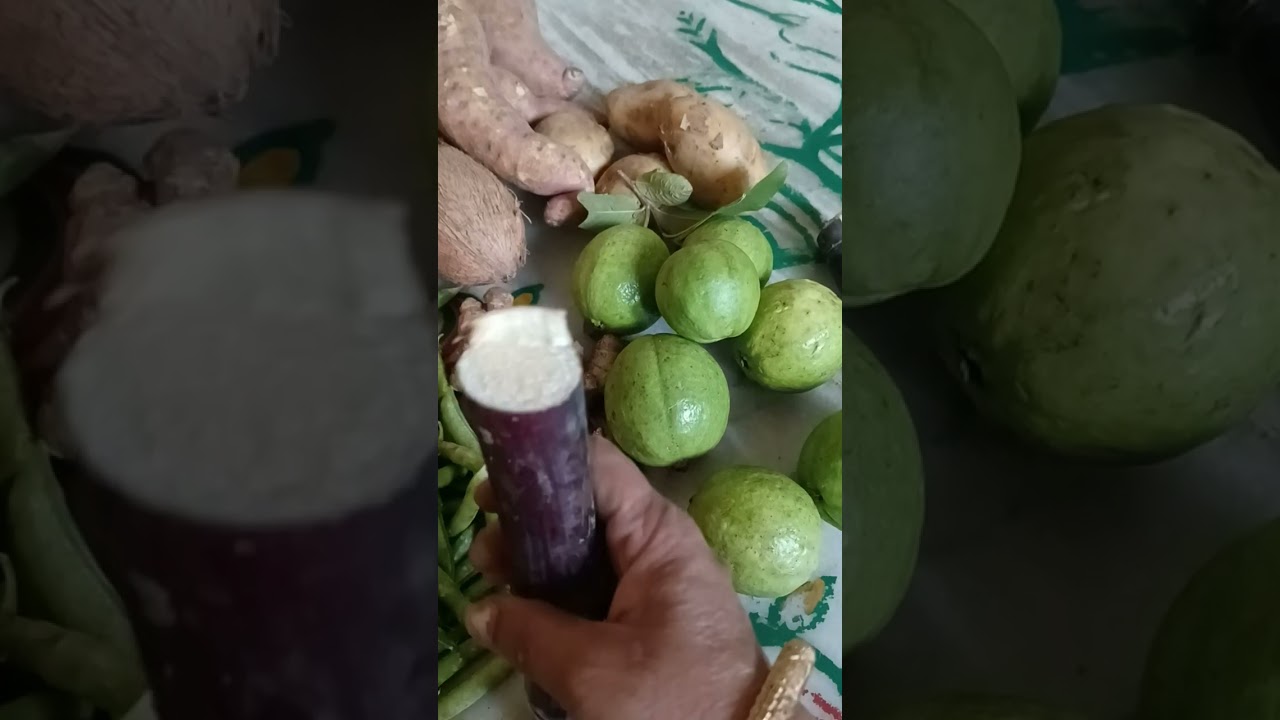 ఈరోజు తెచ్చిన వెజిటేబుల్ ఫ్రెండ్స్👍🥰