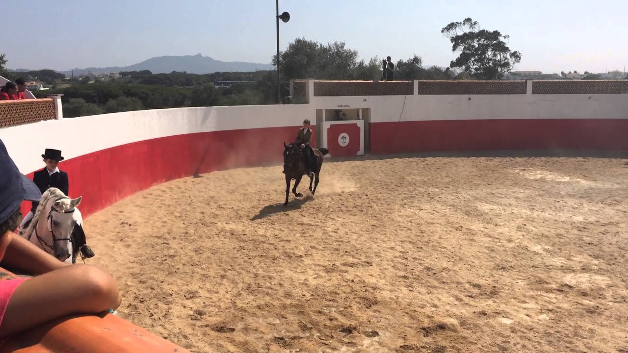 Demonstração Equestre