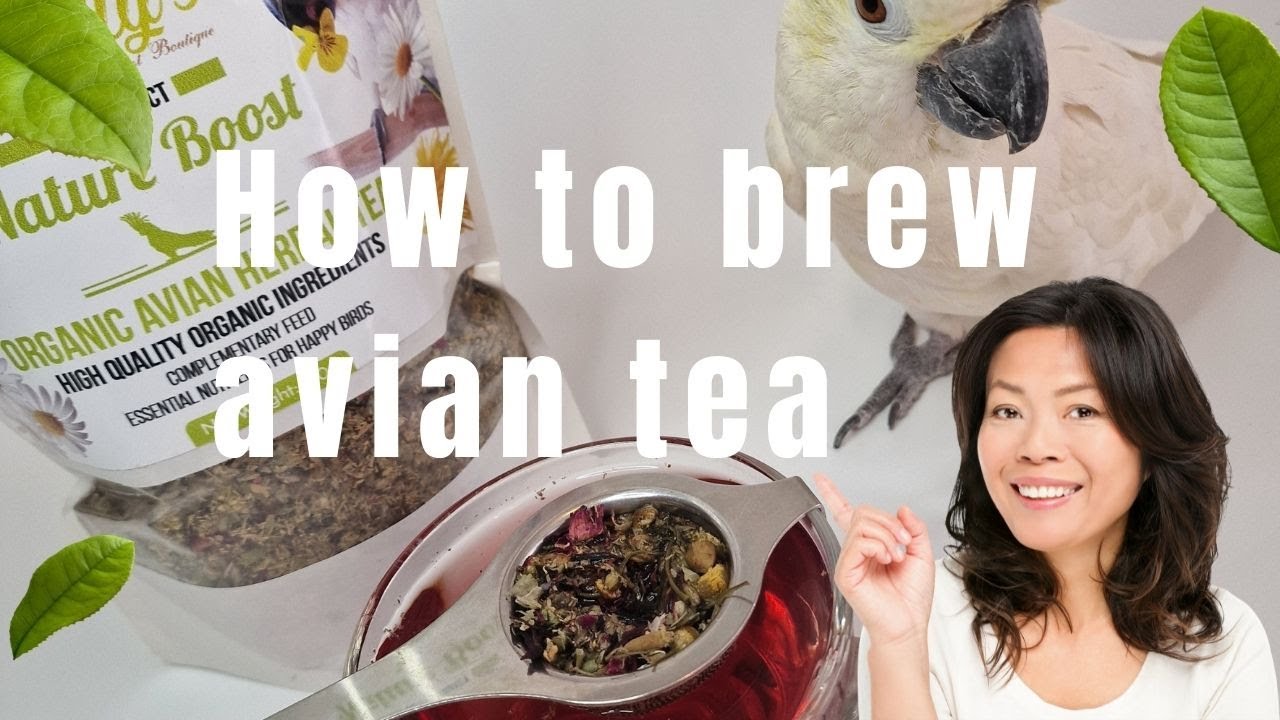 How To Brew Avian Herbal Tea