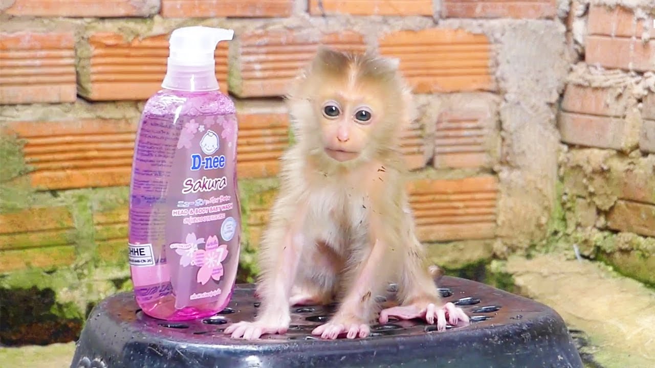 Cutest NewBorn Got Bath First Time | Newborn Has Good