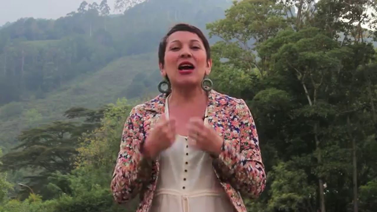 Venezuela Nutritiva:  Eco Festival de la Papa Nativa