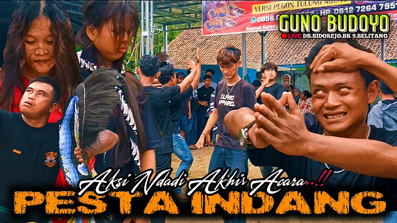 🔴PESTA INDANG❗AKSI KESURUPAN AKHIR PENTAS Jaranan GUNO BUDOYO@SENIID 