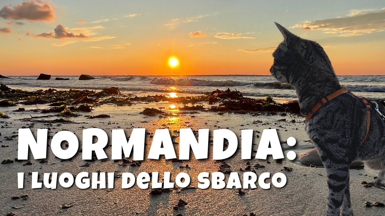 Normandia: i luoghi dello sbarco | Sulle orme della storia in camper