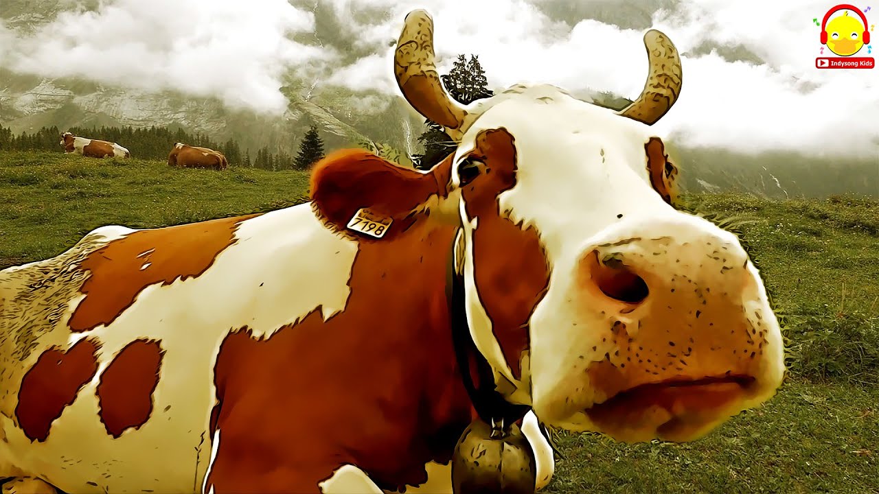 เพลงวัวมอมอ วัวตัวจริง วัวตัวเป็นๆ Cow song