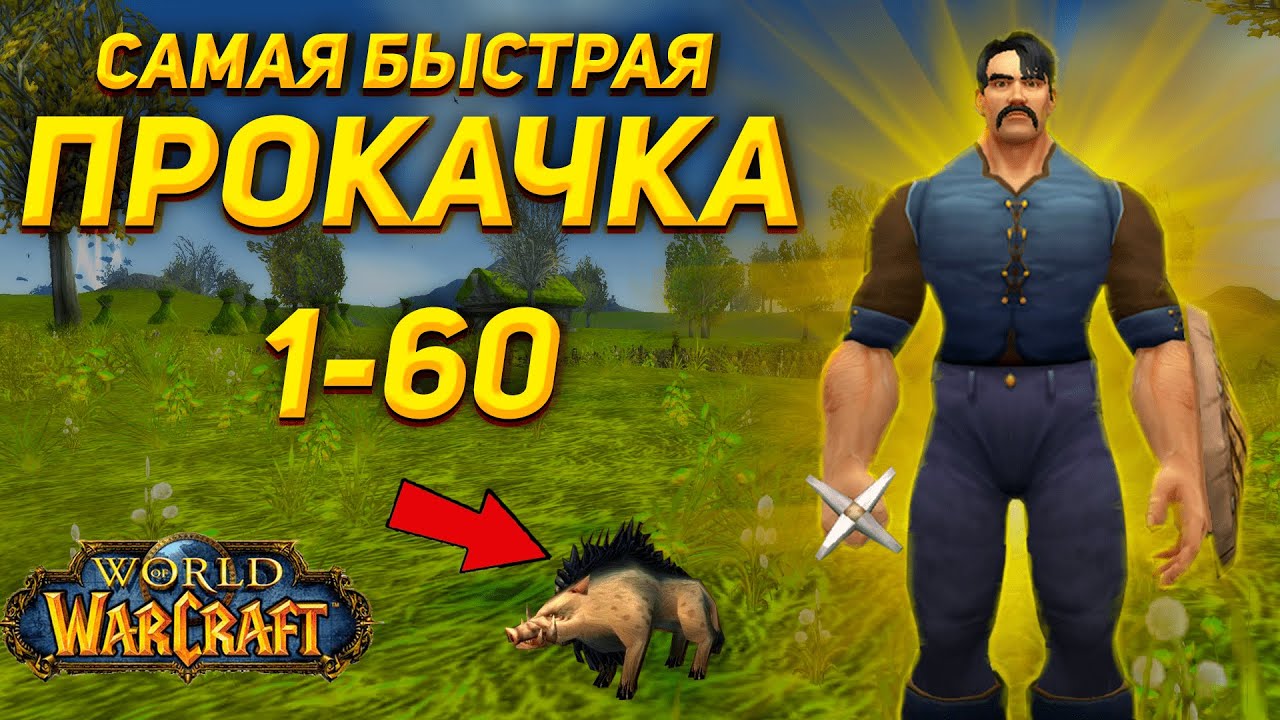 САМАЯ БЫСТРАЯ ПРОКАЧКА С НУЛЯ WOW