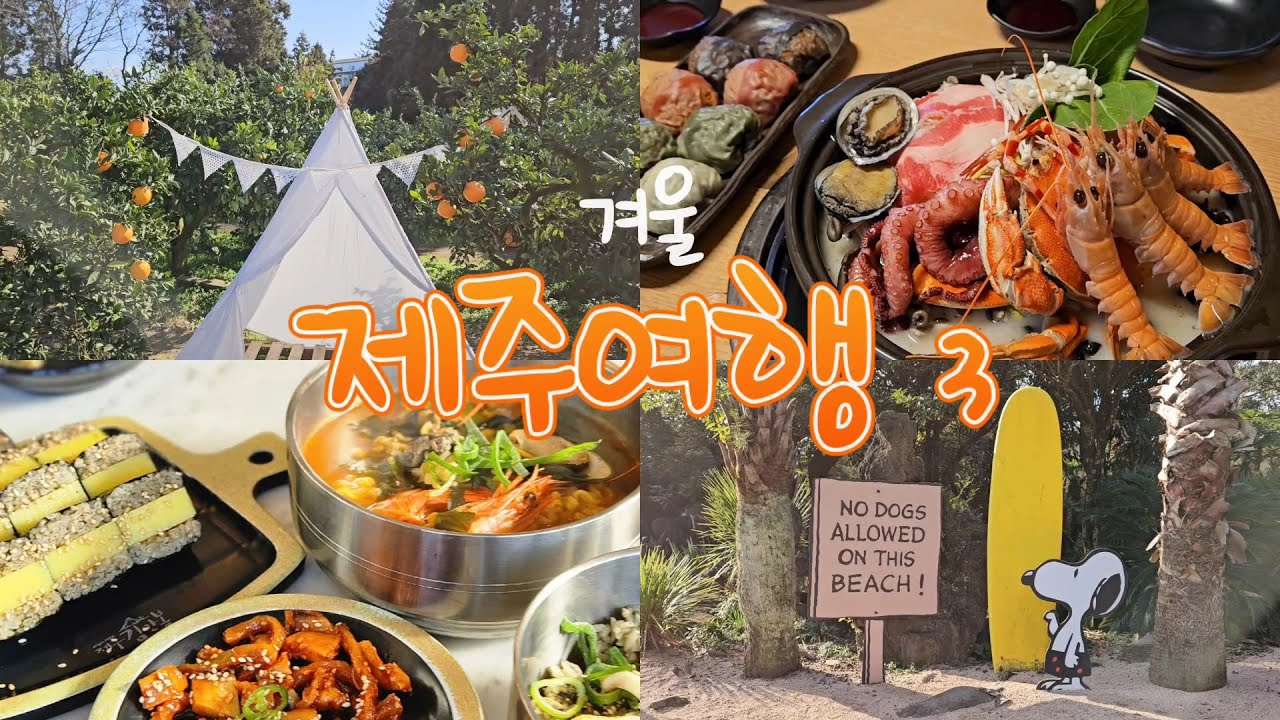 제주여행 3🧡 스누피가든 야외정원 &카페| 서귀포 올레시장 먹거리 추천| 제주 김만복| 제주에인감귤밭, 귤따기&카페| 장인의집 해물만두전골 감동ㅠ| 스누피가든 쇼핑템🐾🎁