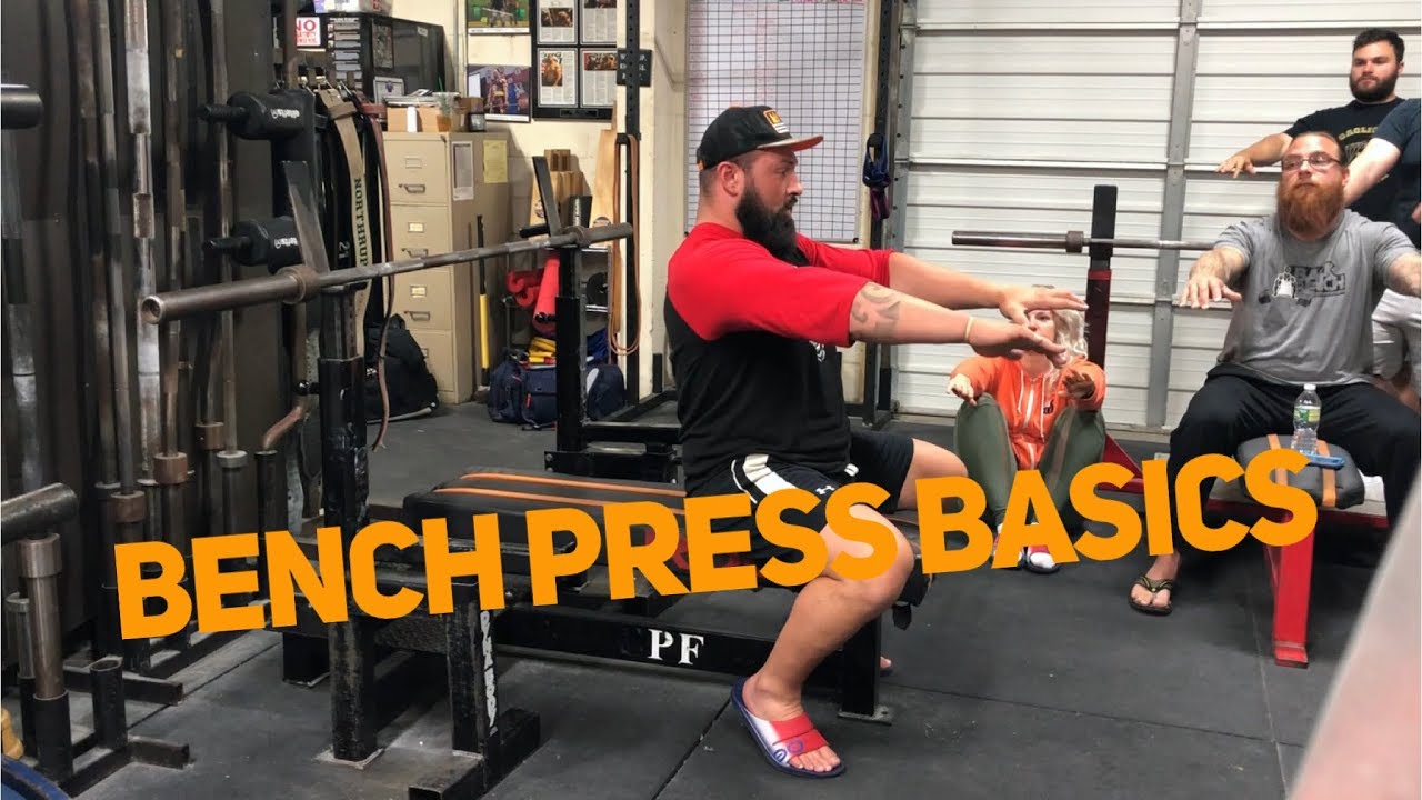 Equipped Benching for Beginners!