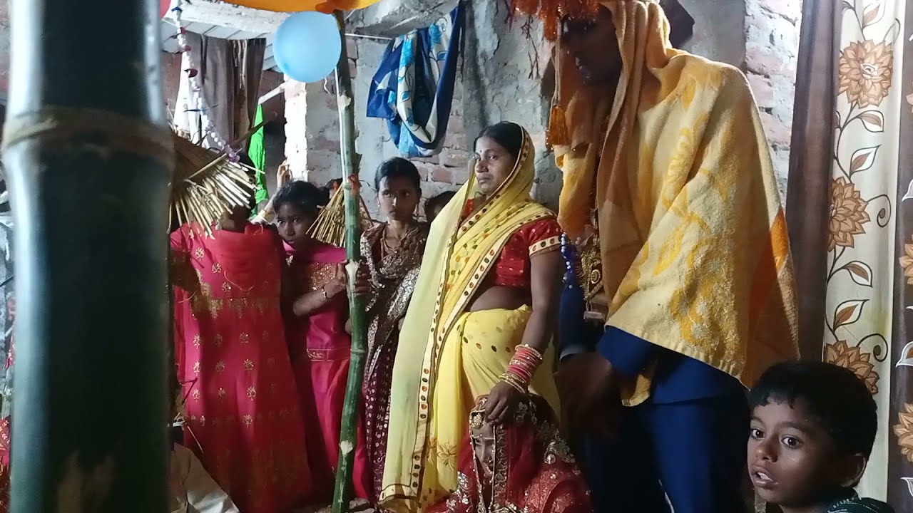 dhaan Lava chhitai video Vikas Kumar shivrampur