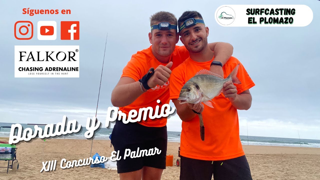 Dorada y Premio XIII Concurso El Palmar