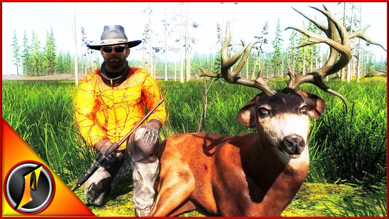 Trophies & Rares Montage | theHunter Classic