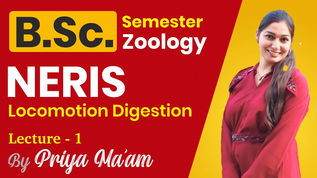 Lecture 1 Neris Locomotion Digestion B.Sc. Zoology by Priya Ma'am