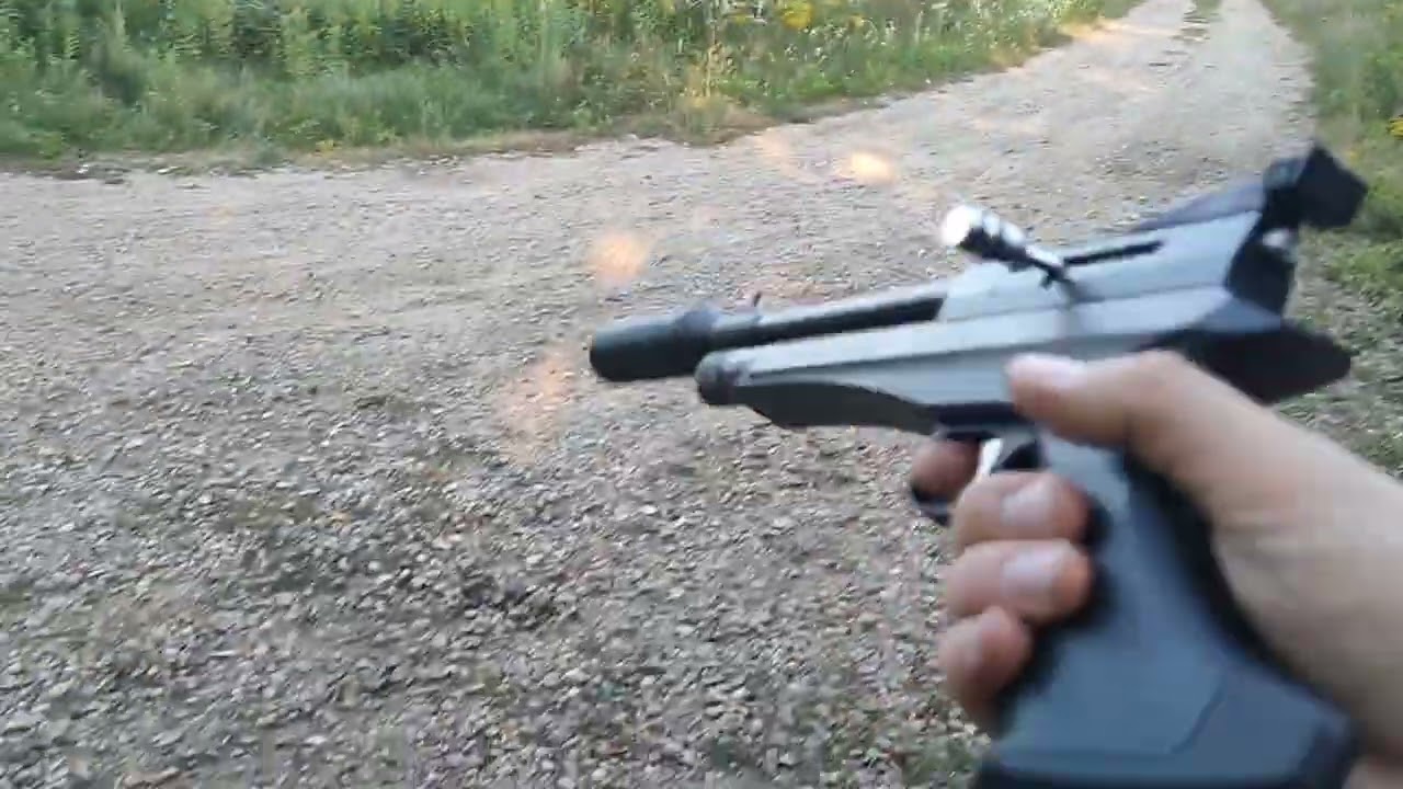 Diana Chaser CO2- one hand shooting 11/12 meters