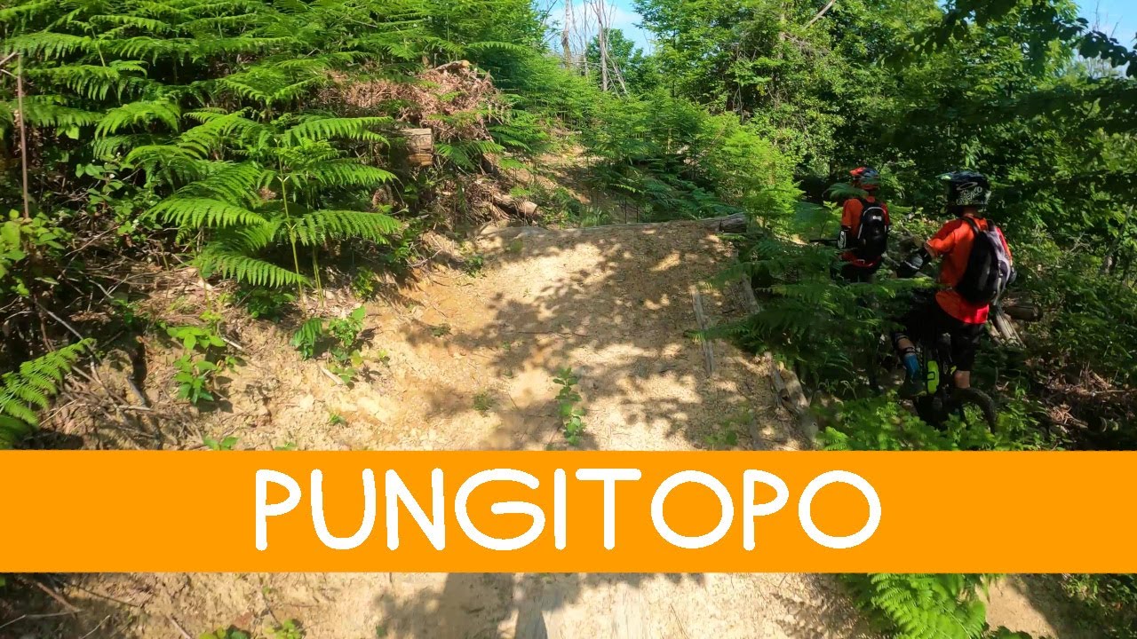 MTB Monti Pisani 03.06.2023 sentiero PUNGITOPO
