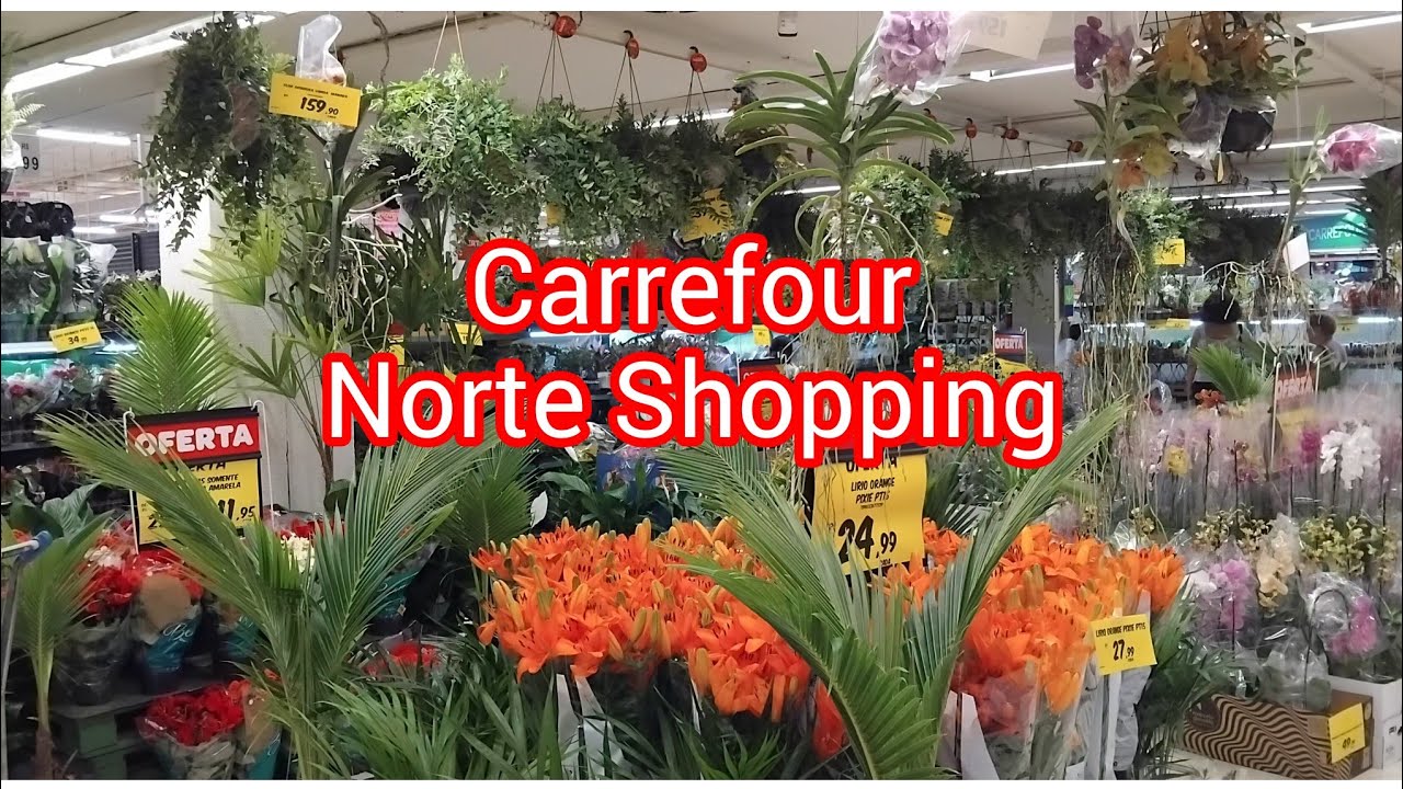 Plantas de quinta-feira no Carrefour!#viralyoutubevideo #viral #viralvideo #flores #casa #amigos#sol
