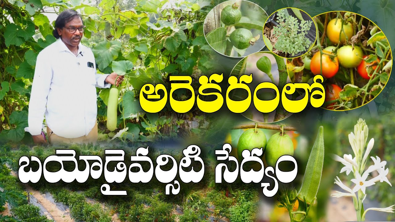అరెకరం నుంచే అదిరే ఆదాయం | Bio Diversity Farming | Govind Reddy
