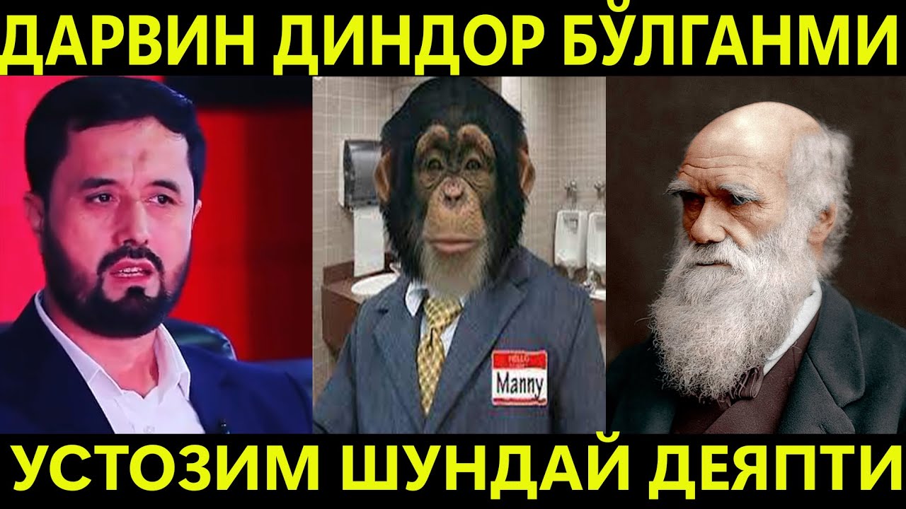 ДАРВИН ДИНДОР БЎЛГАНМИ АБРОР МУХТОР АЛИЙ