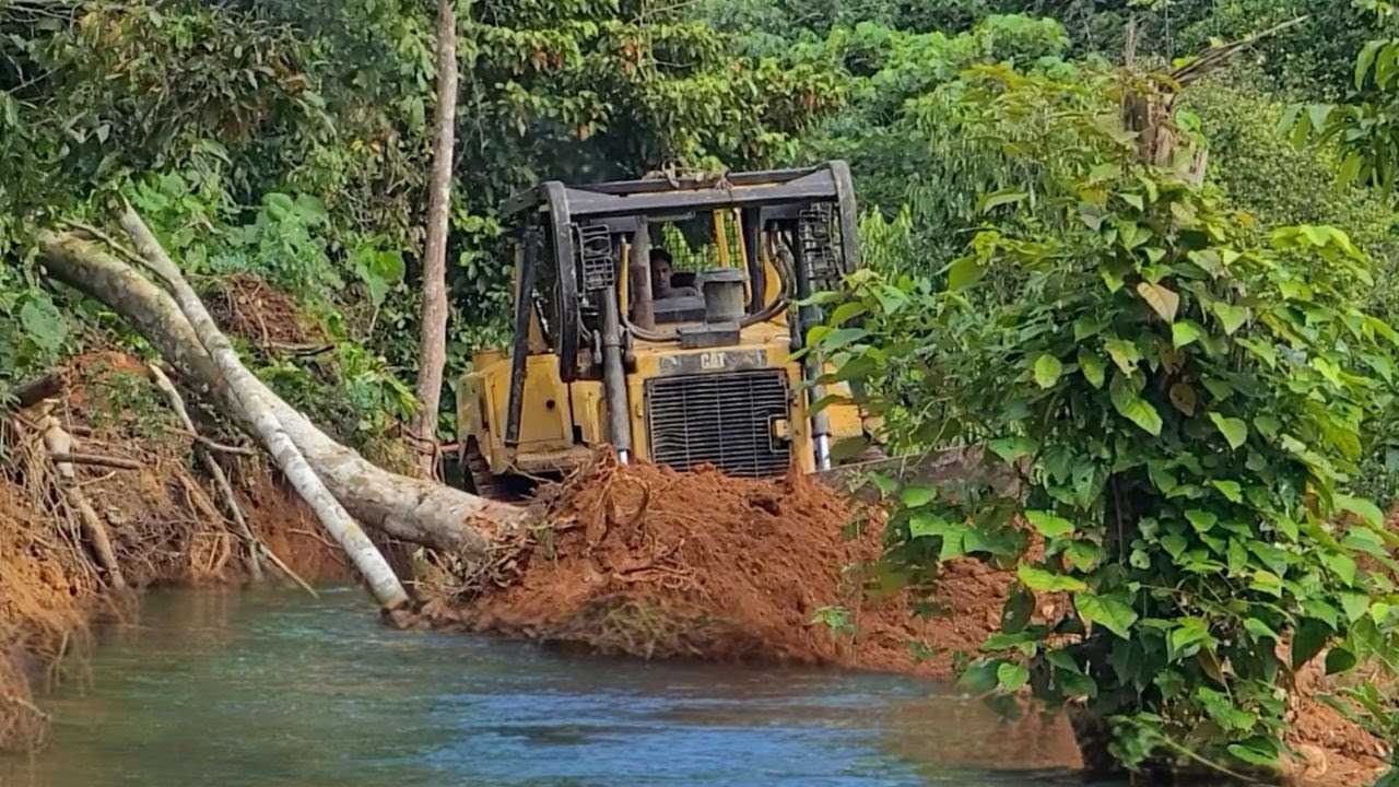 MEGA CLEARING! Bulldozer RIPS Through Jungle Bushes for NEW Plantation - SO FAST!