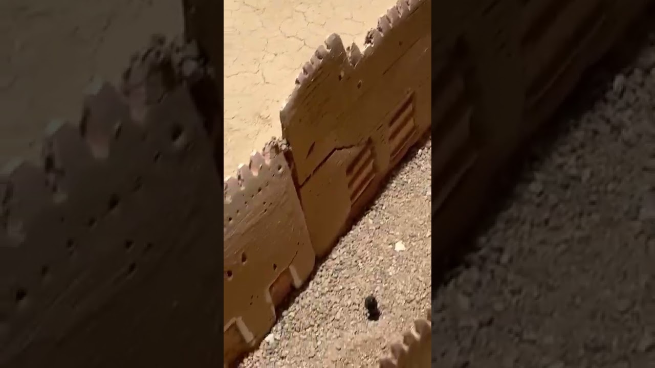 من الباب للباب برزان حائل