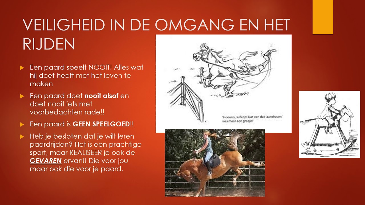 VEILIGHEID IN DE PAARDENSPORT versie 1 1