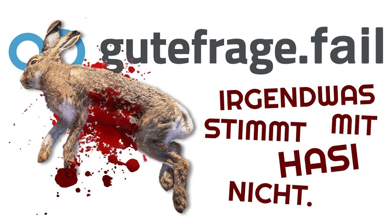 Schweinekram gemacht hihi - GuteFrage Fails #21 ft. Tommys Lehrreiche Lehrfilme