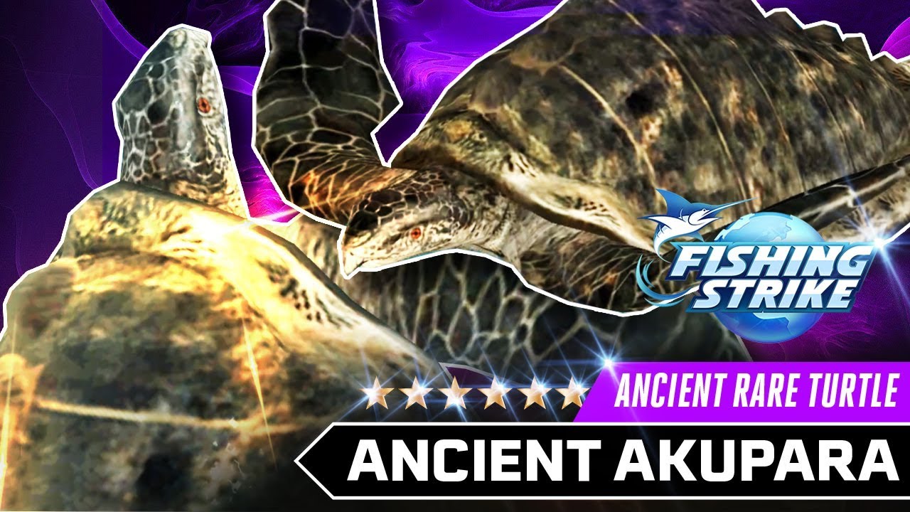 AKUPARA - VIOLENT ANCIENT RARE TURTLE - RARE FISH OF ANCIENT EARTH【釣魚大亨 Fishing Strike 피싱스트라이크】