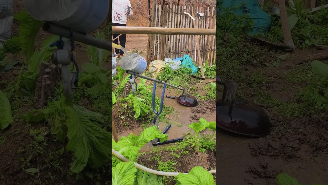 A homemade bird repelling device for vegetable gardens by farmers