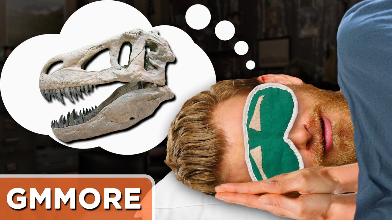 Rhett Dreams of Fossils