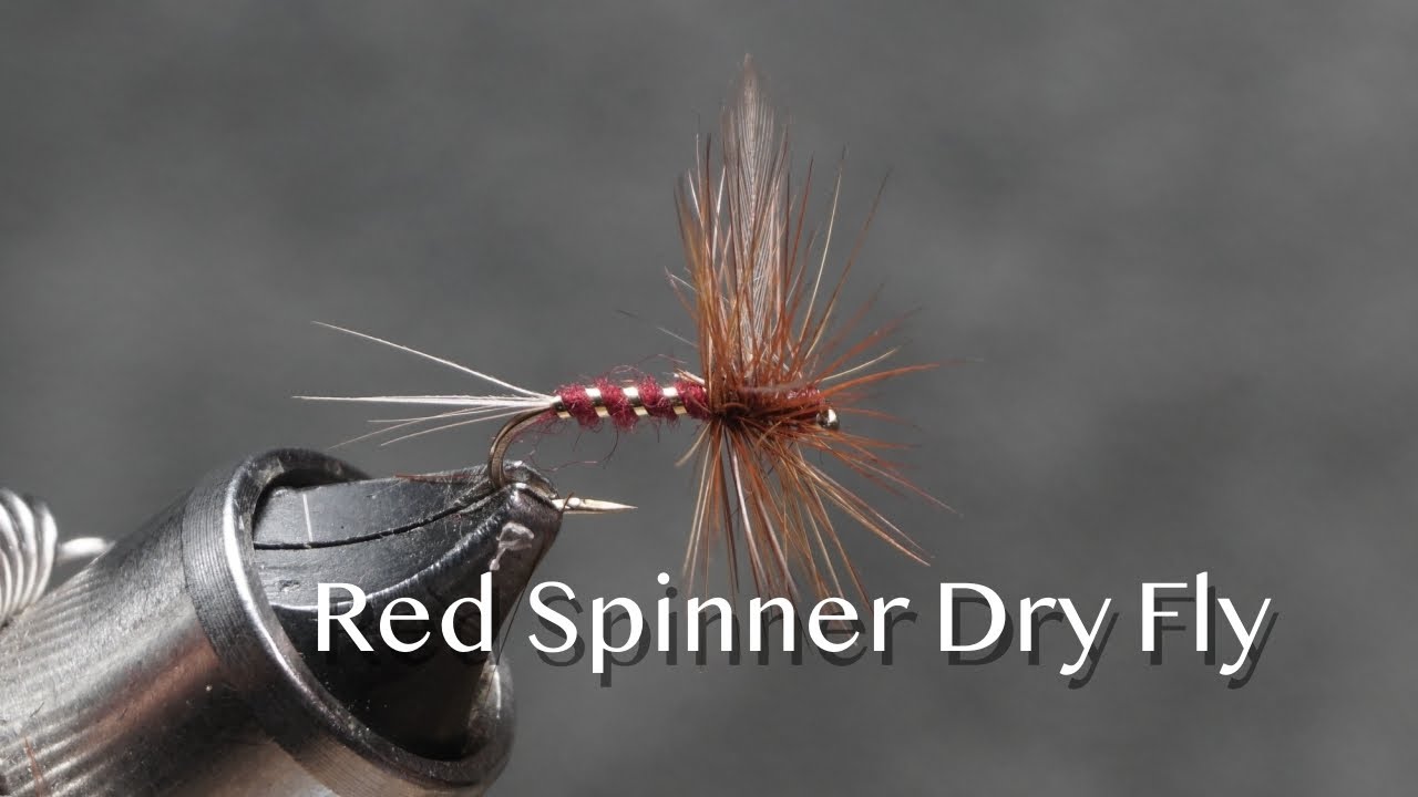 The (Great) Red Spinner as a dry fly