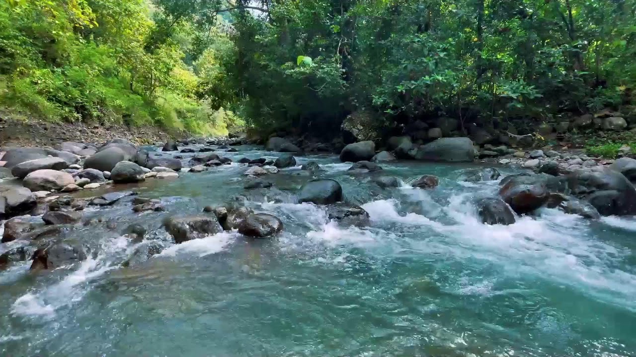 Relaxing River Sounds for Focus, Studying & A Peaceful Home 🌿 Relaxing Sleep Calming Anxiety