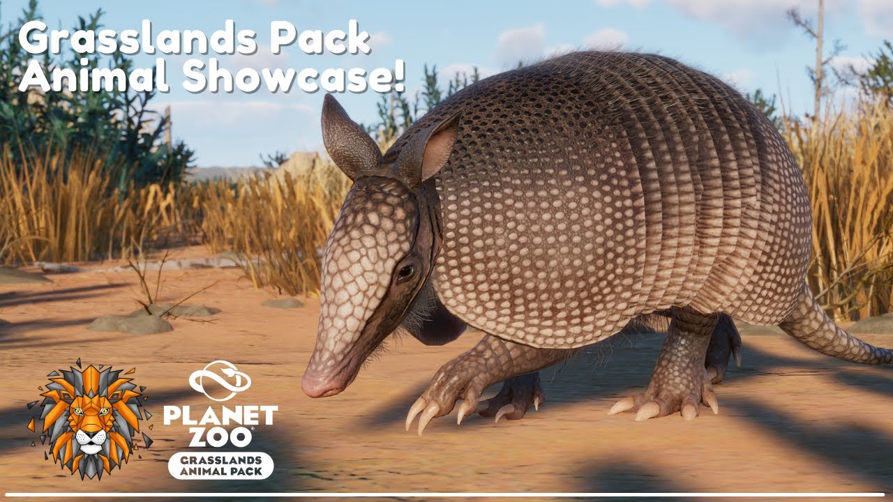 Planet Zoo Grasslands DLC I Animal Showcase!