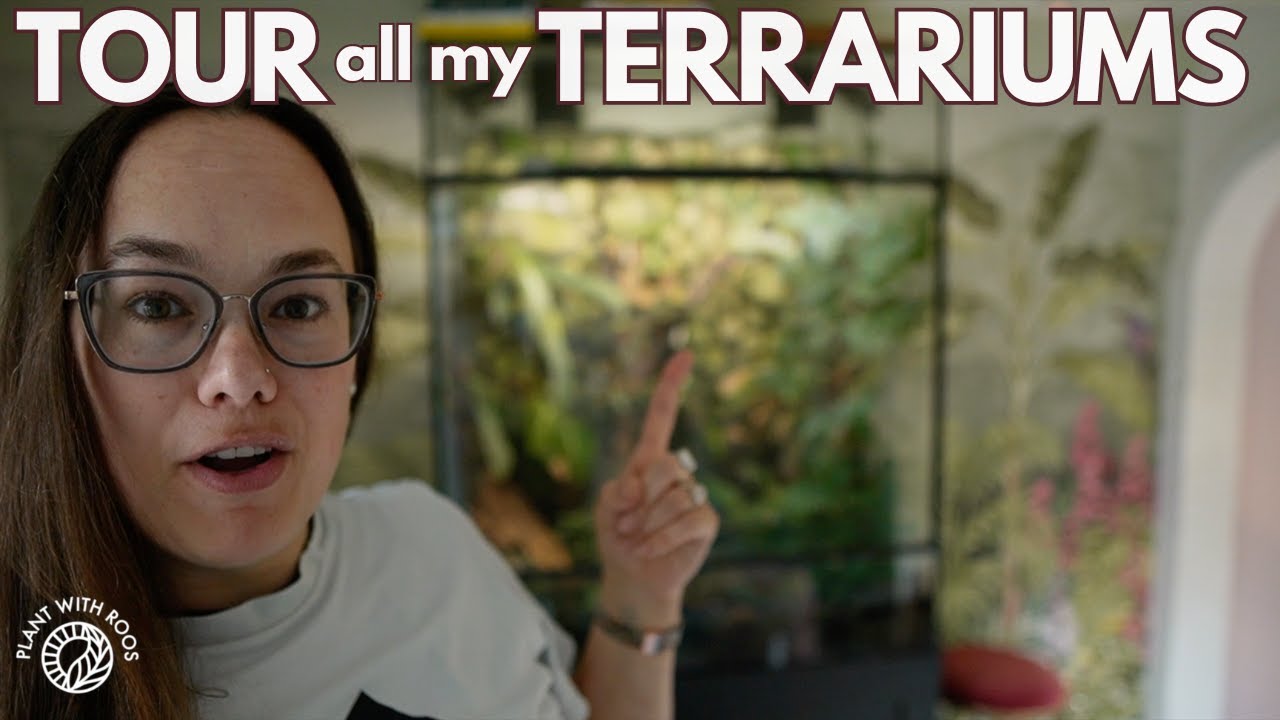 Begonia, Anthurium, Alocasia: Terrariums Tour | Plant with Roos