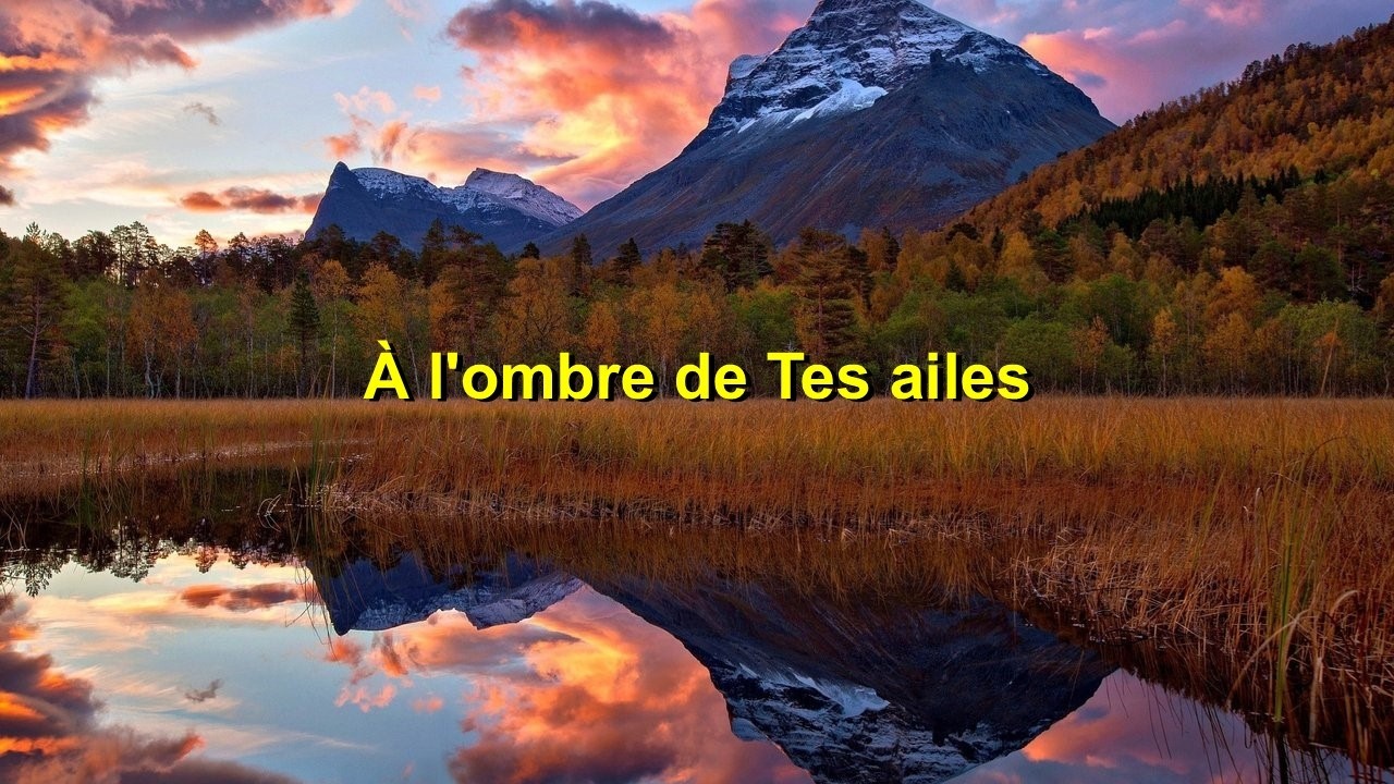 À l'ombre de Tes ailes