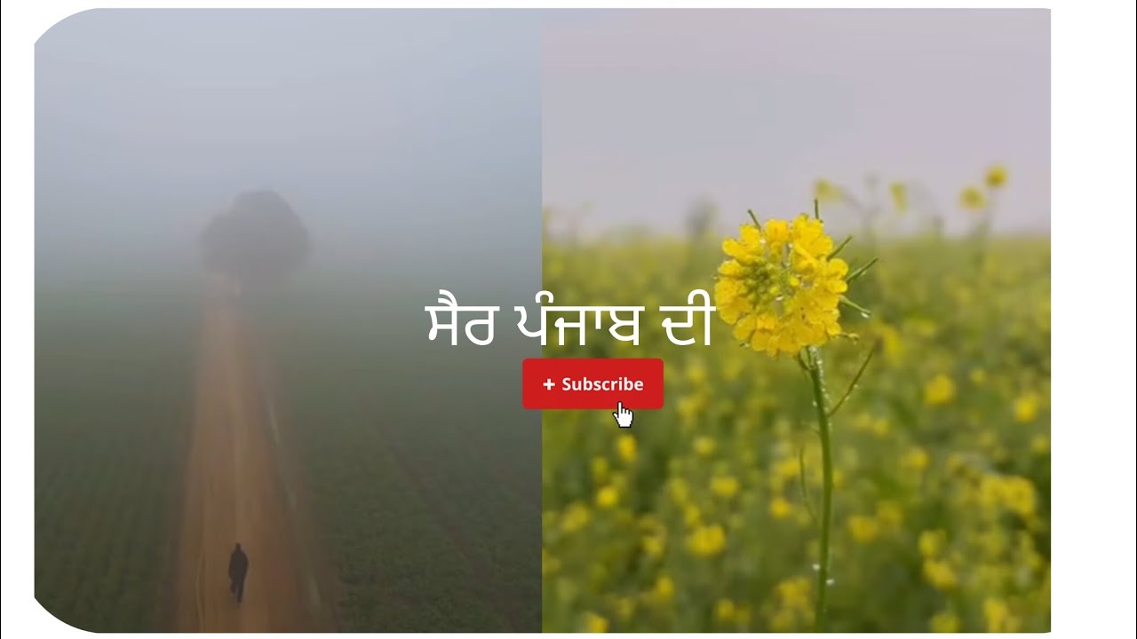 Life in punjab ❤ Episode 1/100