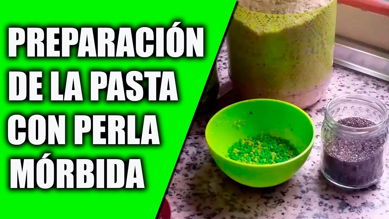 Cría del Canario (Preparación de la pasta con perla mórbida) 2017