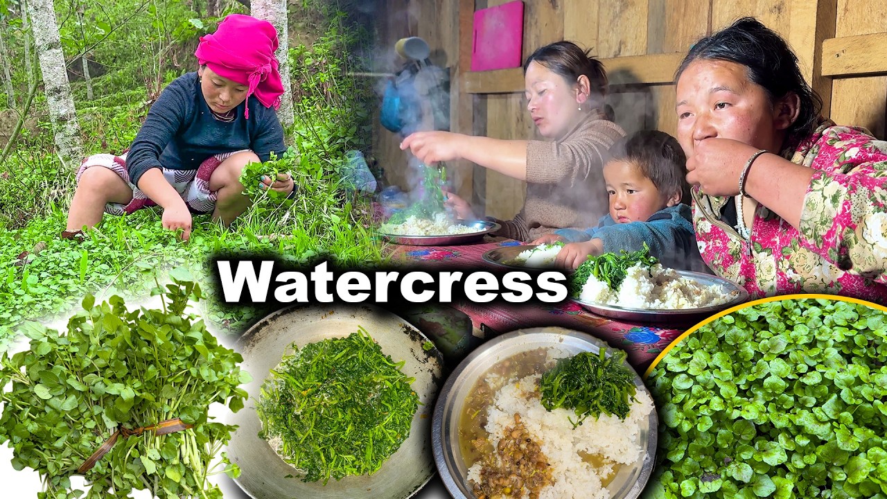 Green Watercress Picking & cooking, eating on Village सिमसाग टिपेर पकाइयो Khole sag | Simrayo recipe