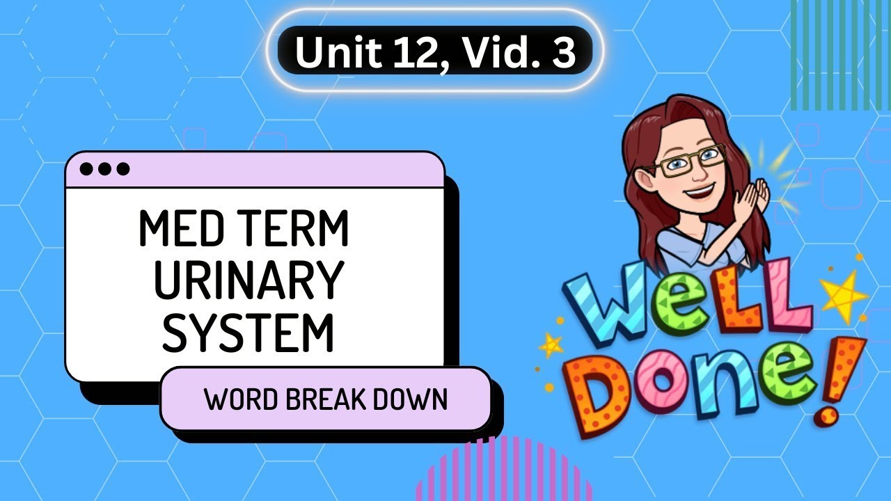 Active Learning 🧠 Urinary System Medical Terms: Fun & Easy Breakdown! 💦