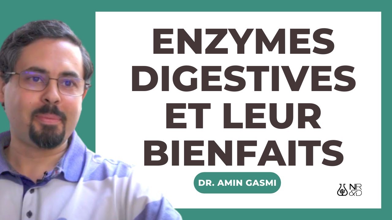 Tout savoir sur les ENZYMES DIGESTIVES et leurs rôles dans la digestion