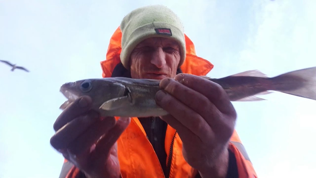 Kit's Fishing Adventures #18 Autumn / Winter Fishing On Bridlington Harbour